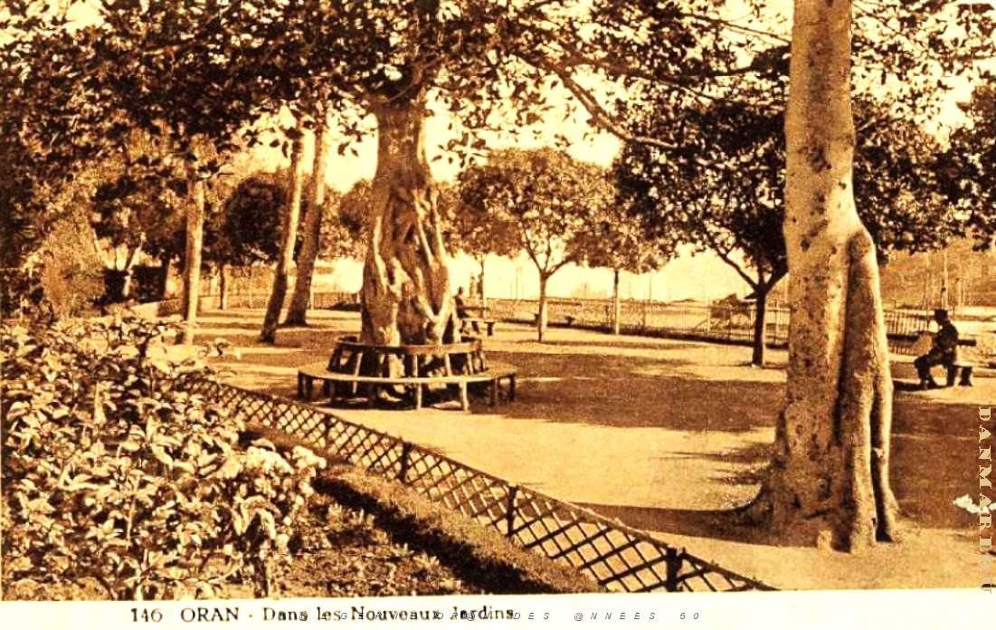CN ea- 020- Petit Vichy.jpg